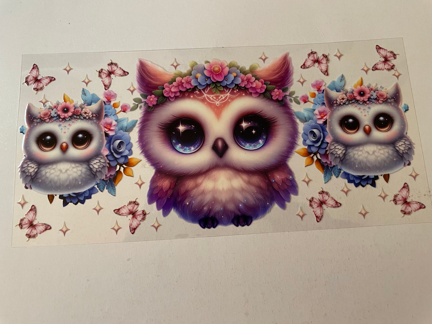 Animal (1) wraps