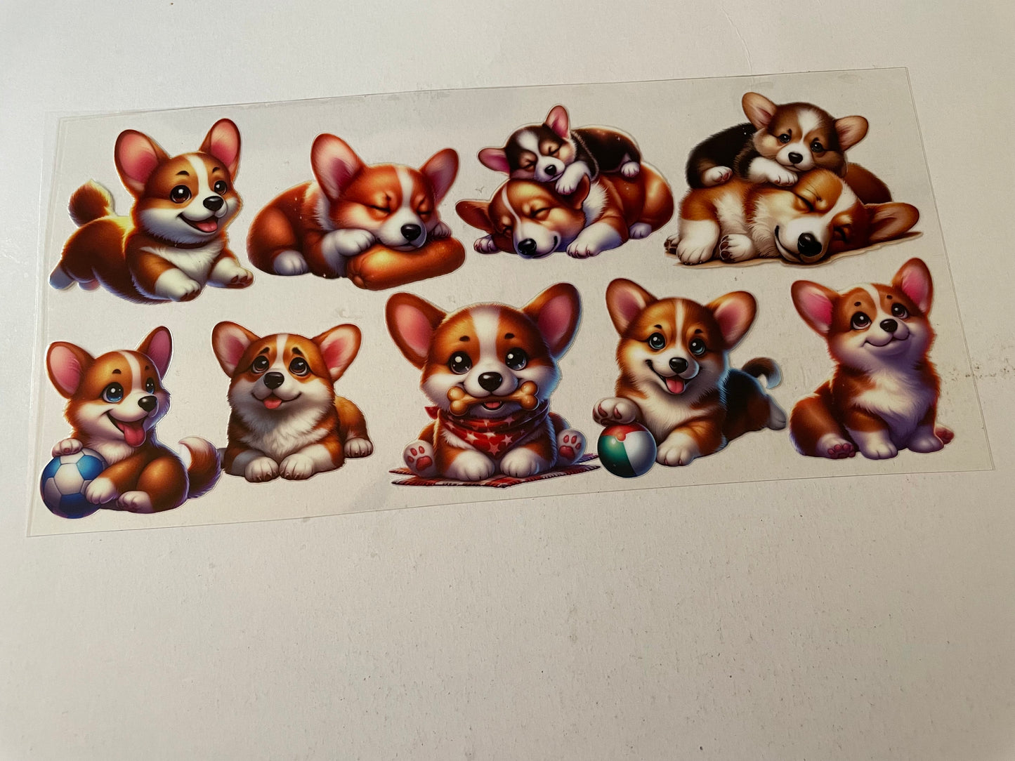 Animal (1) wraps