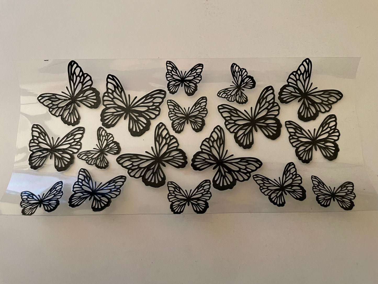 Animal (1) wraps