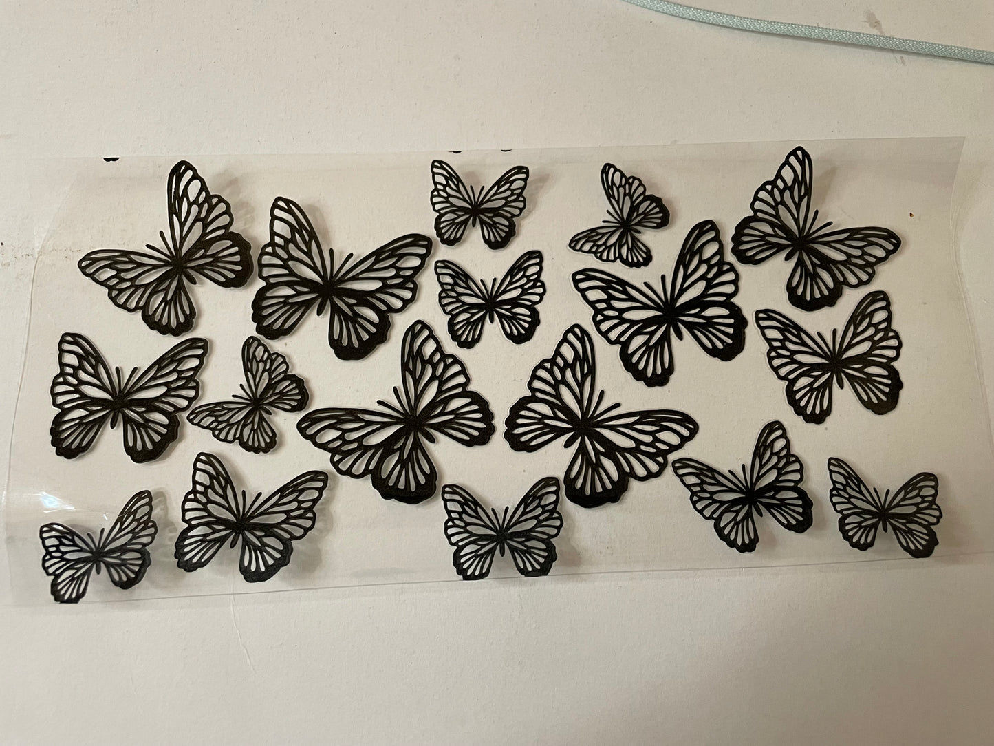 Animal (1) wraps