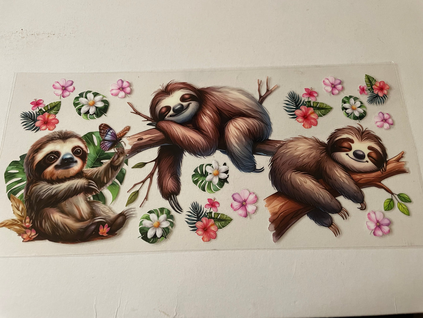 Animal (1) wraps