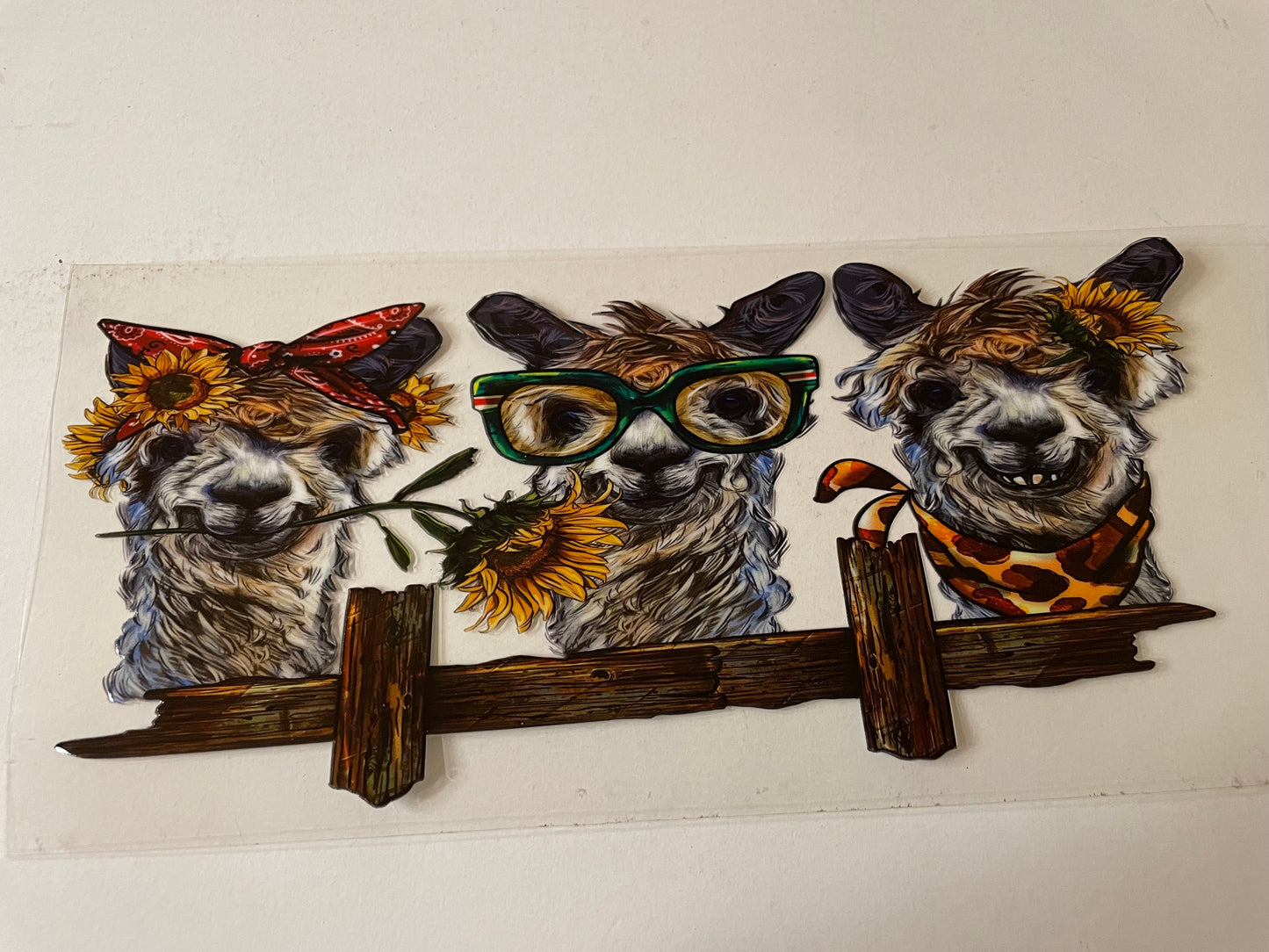 Animal (1) wraps