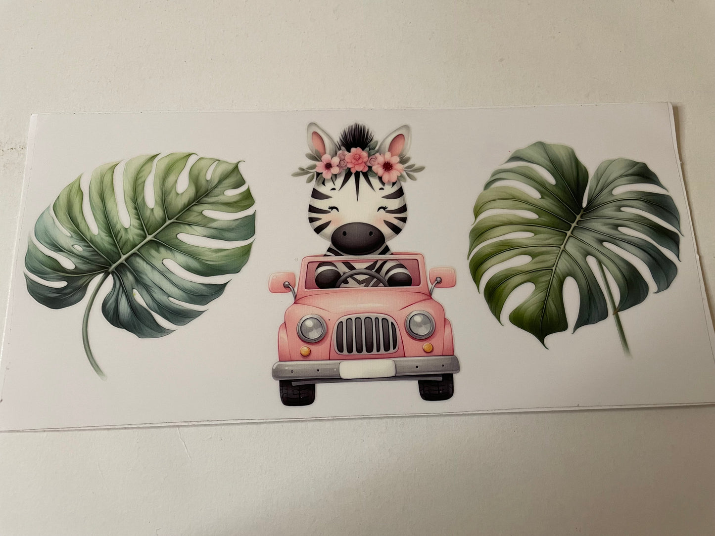 Animal (1) wraps