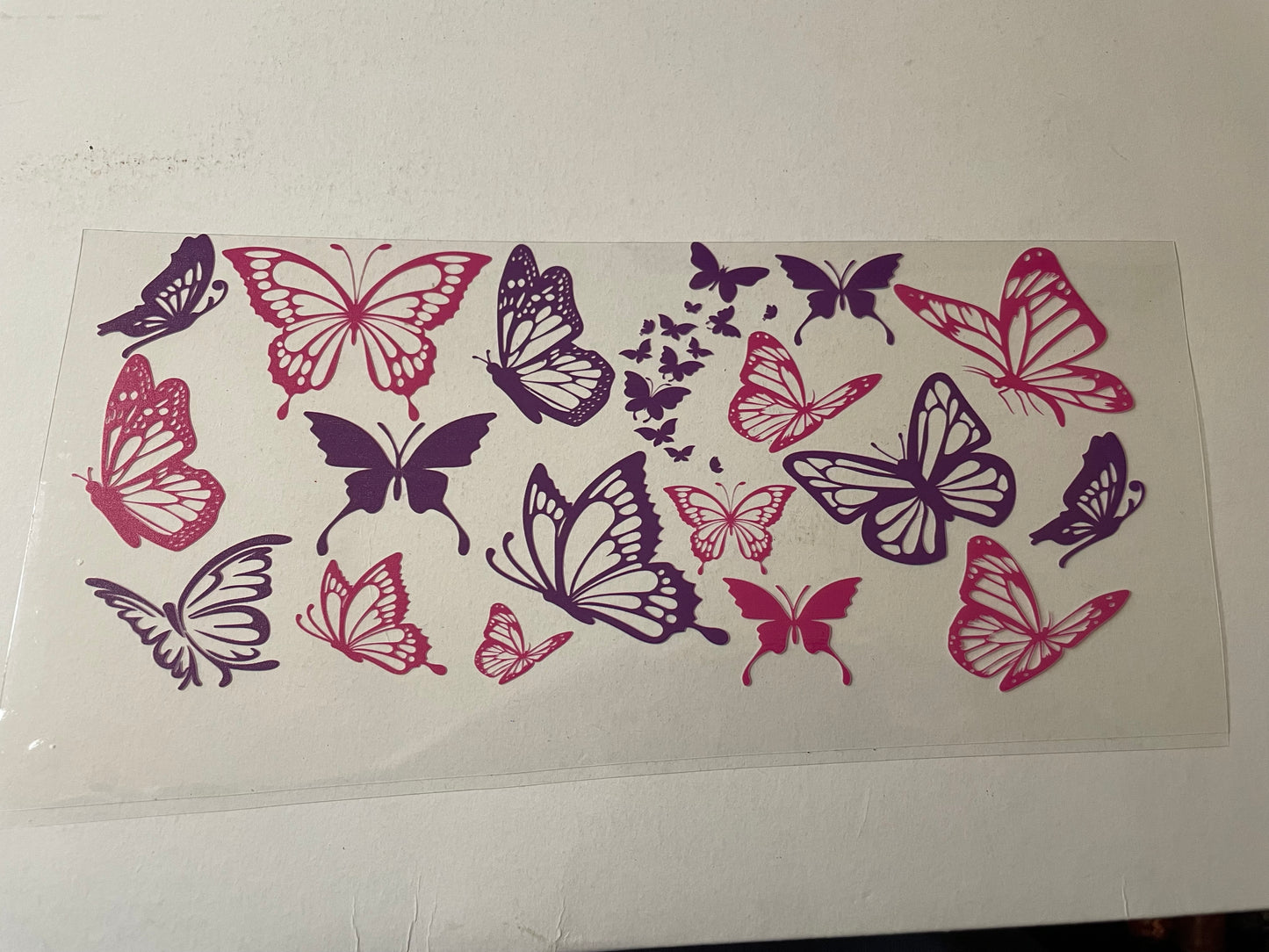 Animal (1) wraps