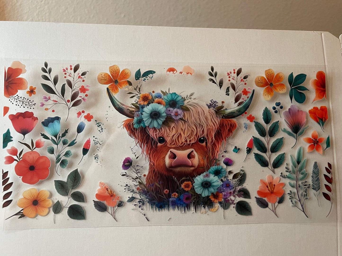 Animal (1) wraps