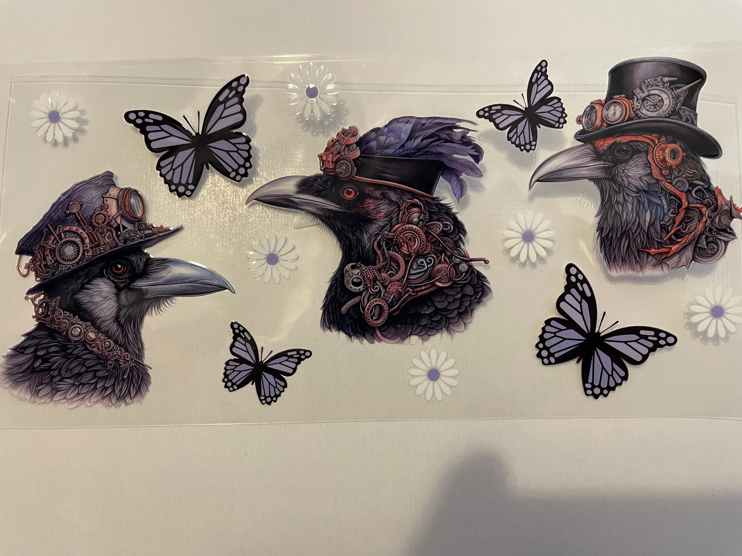 Animal (1) wraps