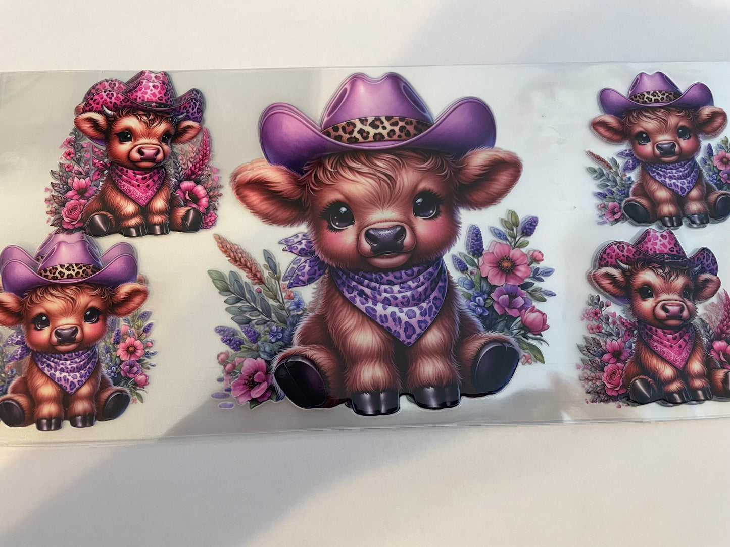 Animal (1) wraps