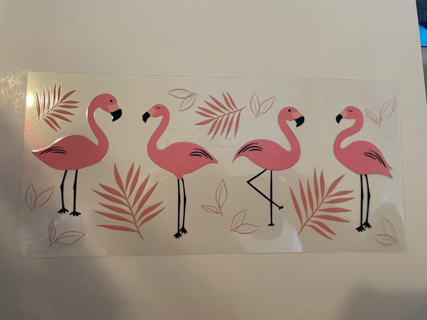 Animal (1) wraps