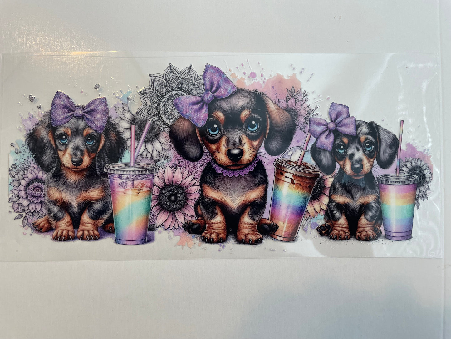 Animal (1) wraps