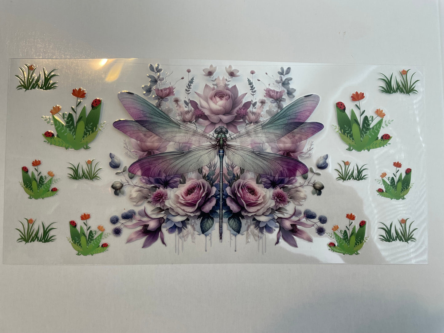 Animal (1) wraps