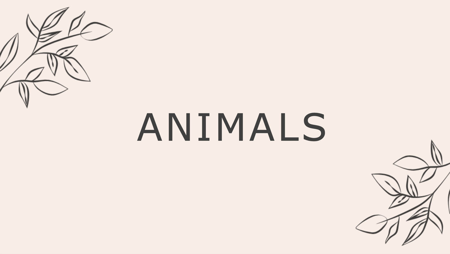 Animals