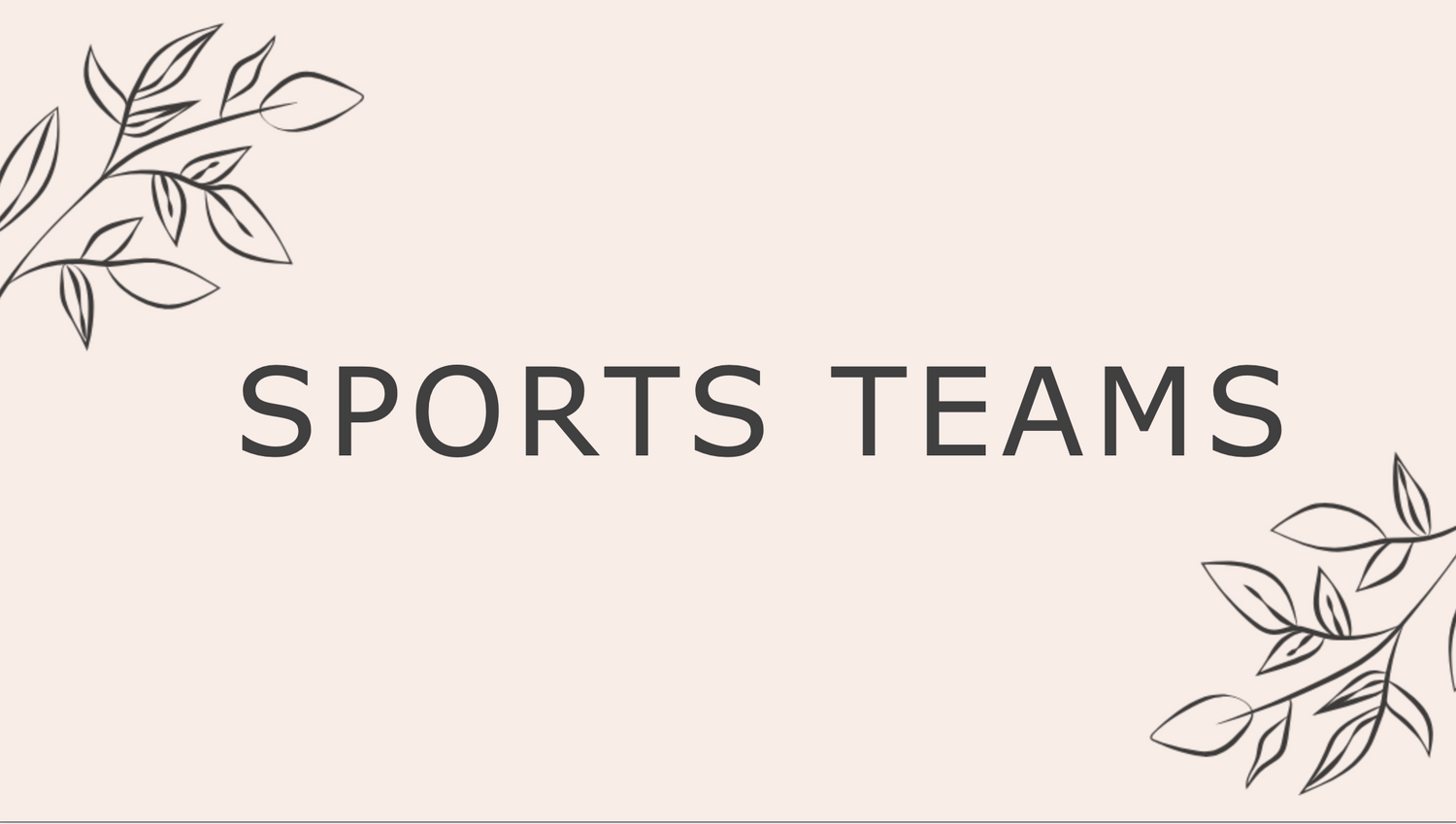 Sports Teams