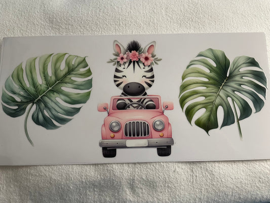 zebra in jeep