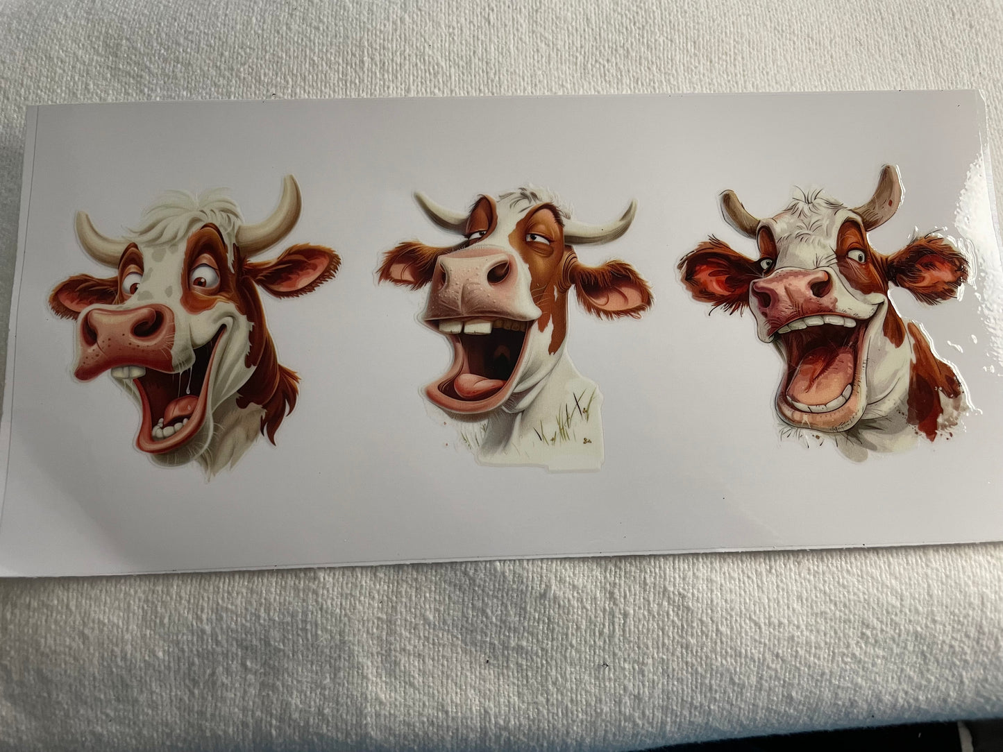 Laughing cows