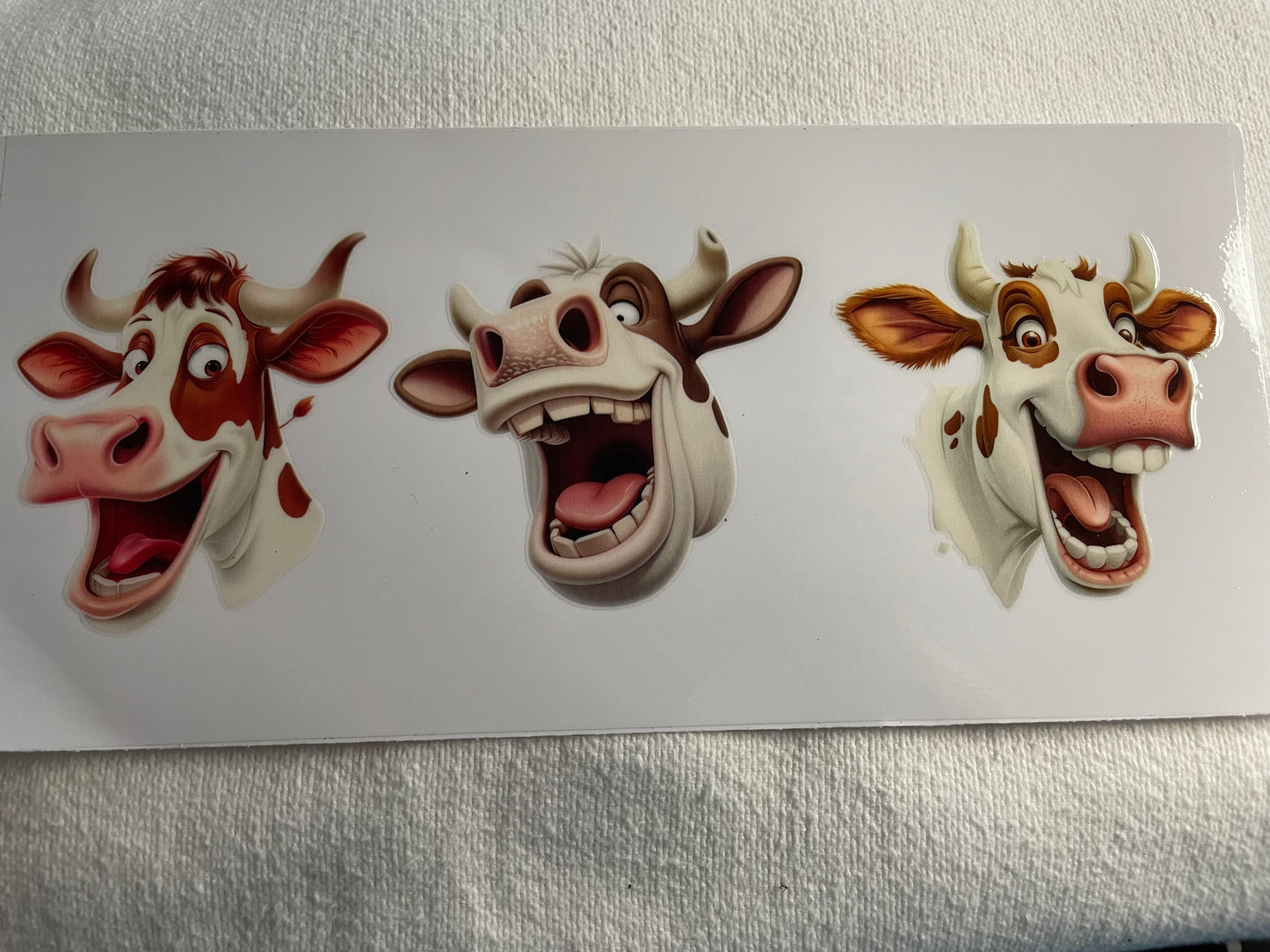 Laughing cows