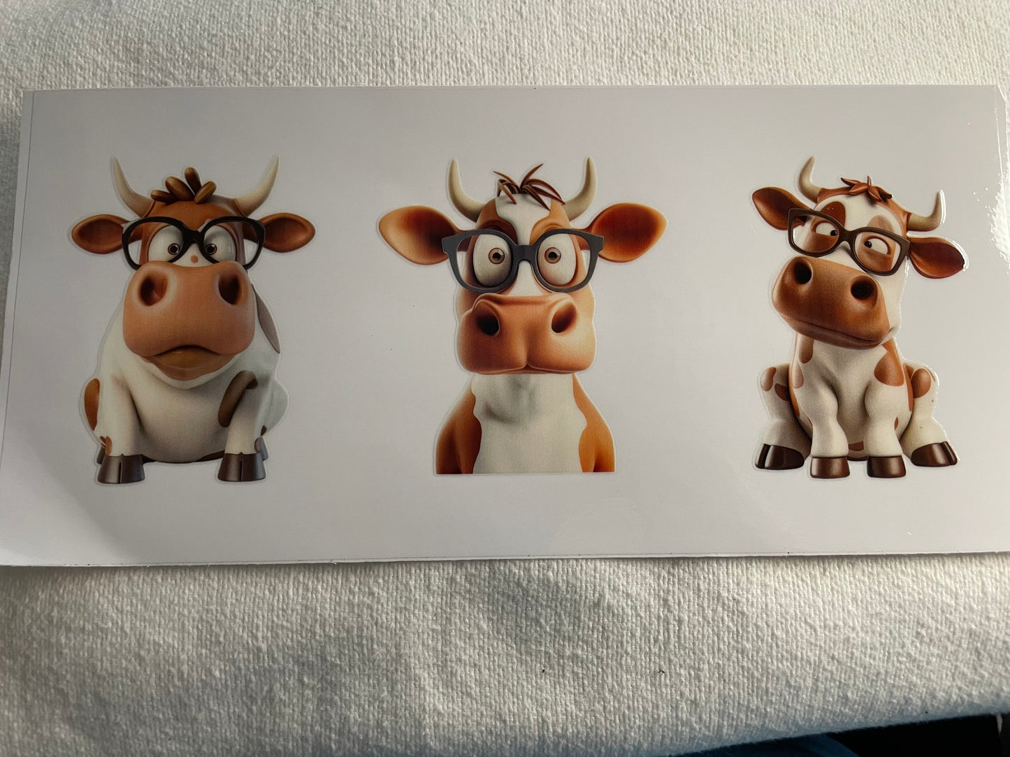 cows with glasses